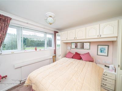Picture 21